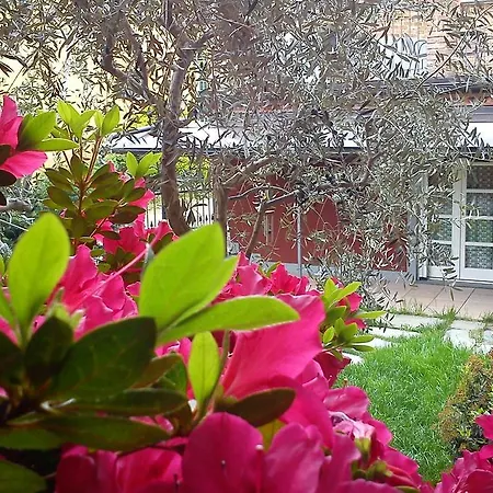 Πανσιόν Goccia Di Vino La Morra