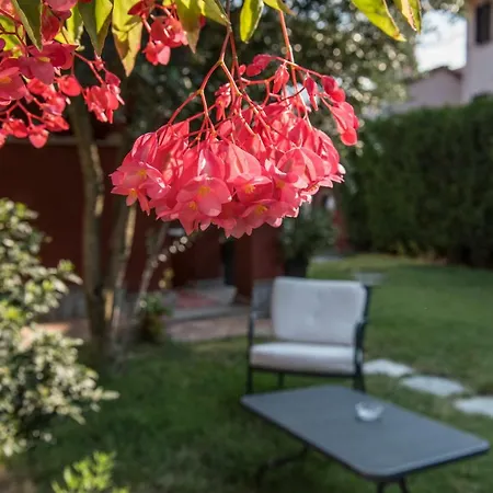 Goccia Di Vino Πανσιόν