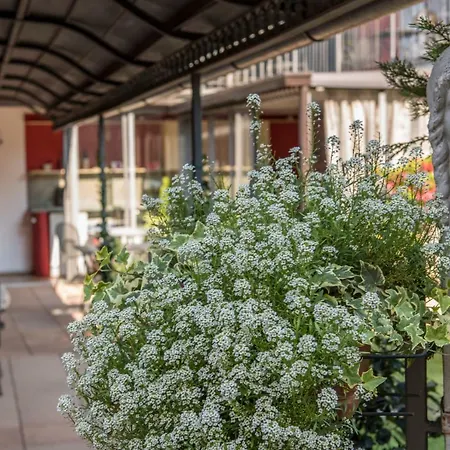 Πανσιόν Goccia Di Vino 4*