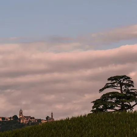 Affittacamere Goccia Di Vino